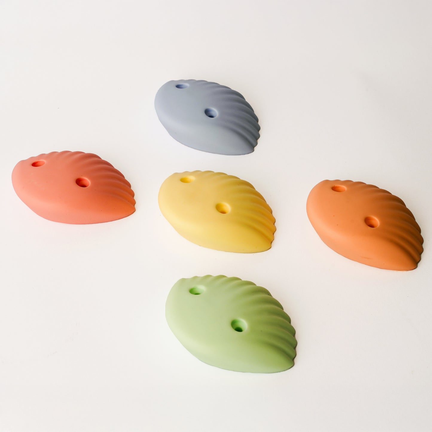 original sea shells