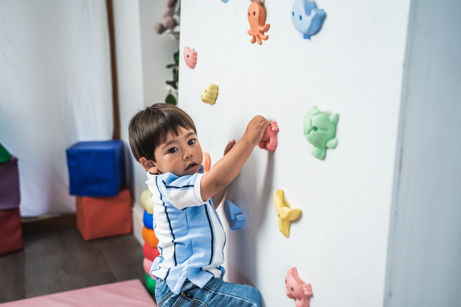 Ocean Explorers: Shells and Sea Creatures