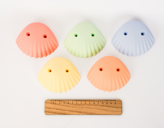 original sea shells