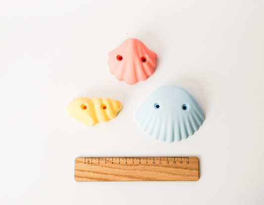 mixed sea shells