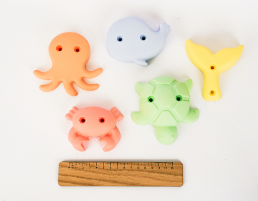 sea creatures